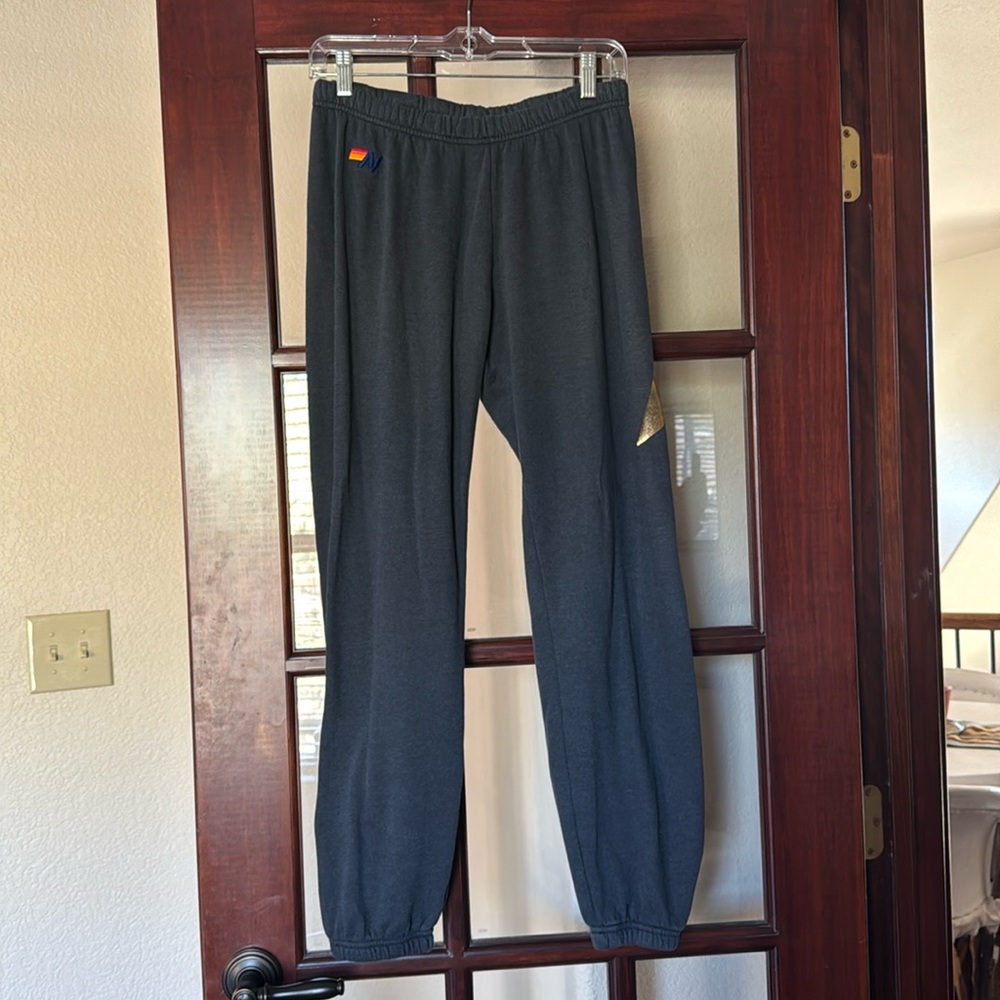 Aviator Nation Lightening Bolt sweatpants